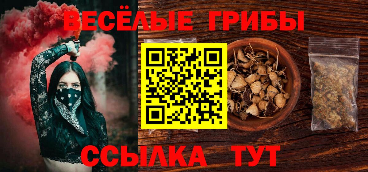 Псилоцибиновые грибы ЛСД  Вход с VPN  Звенигород  Псилоцибиновые грибы Psilocybe 