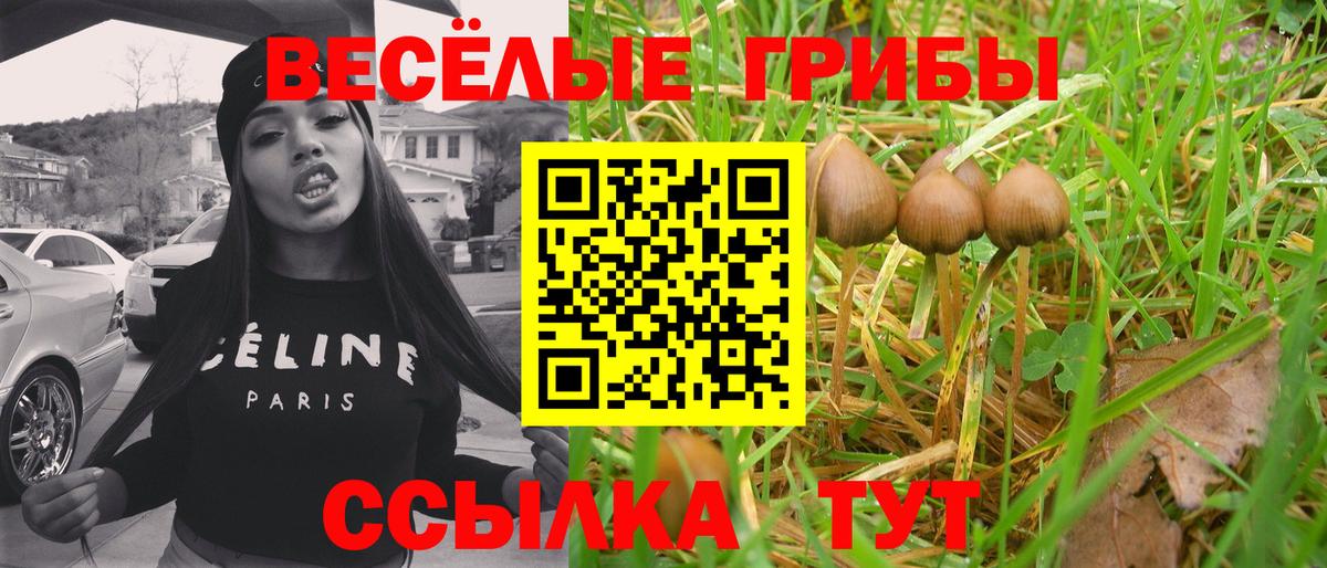 Псилоцибиновые грибы ЛСД Звенигород