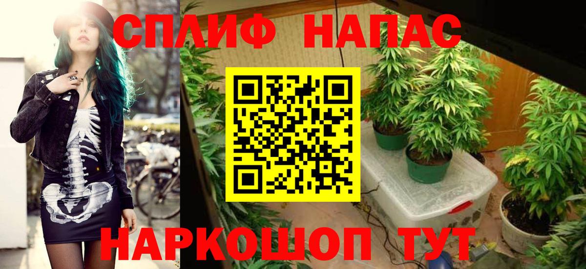Конопля Bruce Banner Звенигород